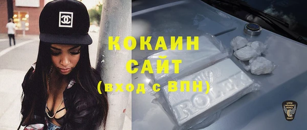 ПСИЛОЦИБИНОВЫЕ ГРИБЫ Заводоуковск