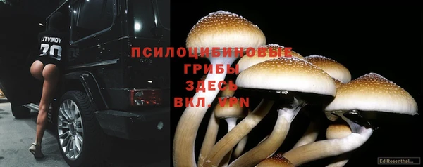 мдпв Заволжье