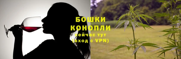 ПСИЛОЦИБИНОВЫЕ ГРИБЫ Заводоуковск