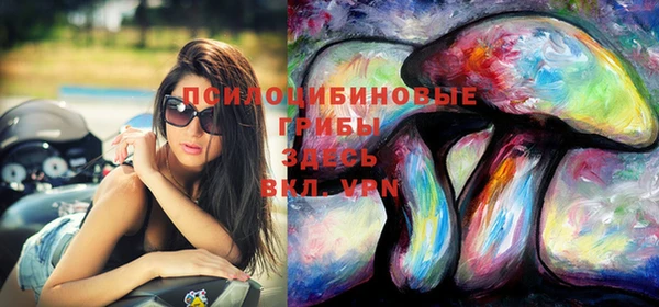 ПСИЛОЦИБИНОВЫЕ ГРИБЫ Заводоуковск