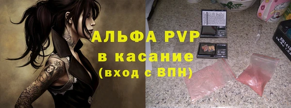 ПСИЛОЦИБИНОВЫЕ ГРИБЫ Заводоуковск