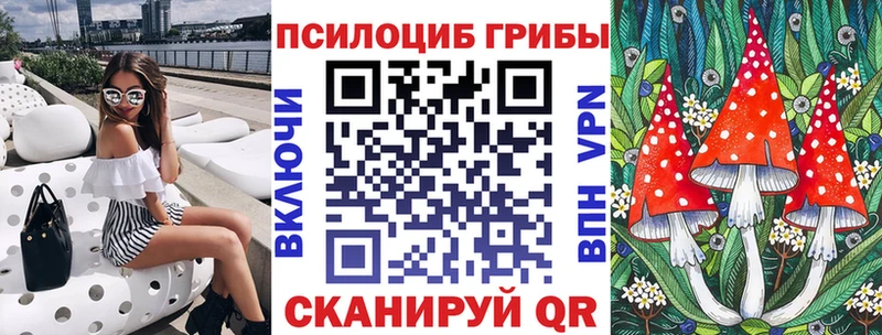 Псилоцибиновые грибы GOLDEN TEACHER  Купить закладки  Родники 
